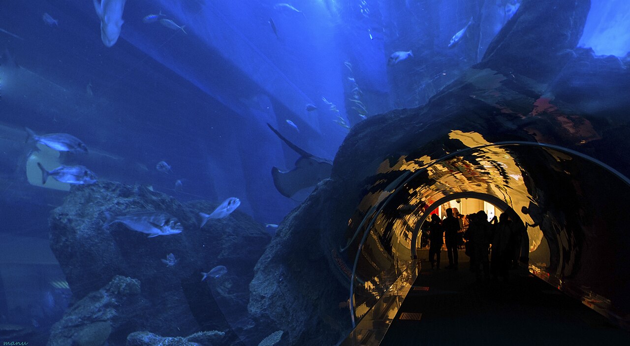 Dubai Aquarium 48-metre underwater tunnel with sharks and rays swimming overhead — photo 1