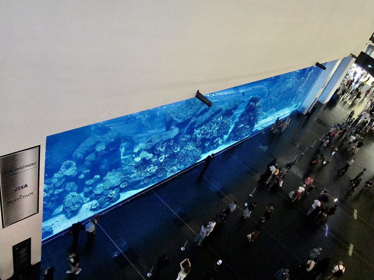 Dubai Aquarium 48-metre underwater tunnel with sharks and rays swimming overhead — photo 2