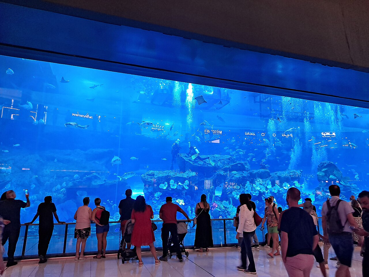 Dubai Aquarium 48-metre underwater tunnel with sharks and rays swimming overhead — photo 3