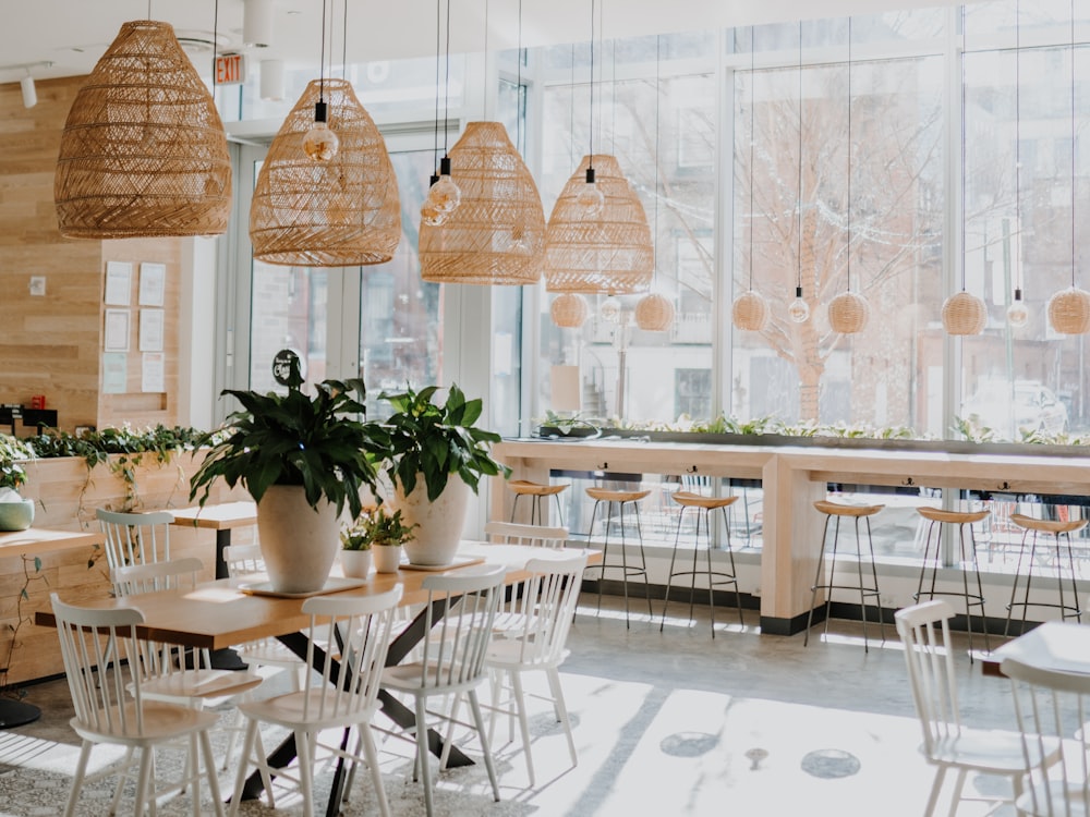 Orto Cafe garden-inspired interior with greenery and healthy brunch plates — photo 2